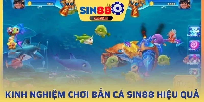 Chia sẻ kinh nghiệm chơi bắn cá Sin88 hiệu quả
