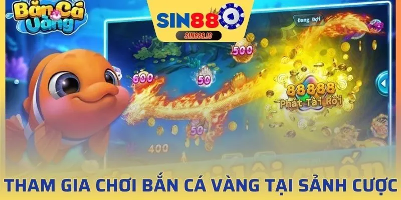 Cùng nhau tham gia chơi bắn cá vàng tại sảnh cược