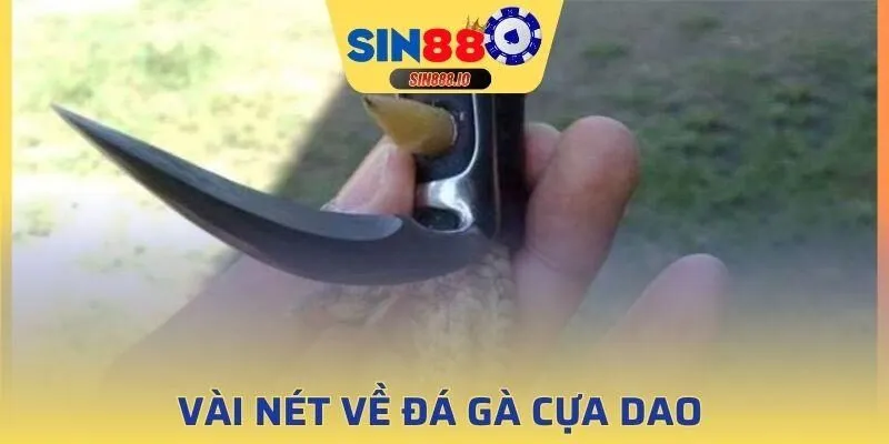 Hình thức này đang ngày càng khẳng định vị thế tại Việt Nam