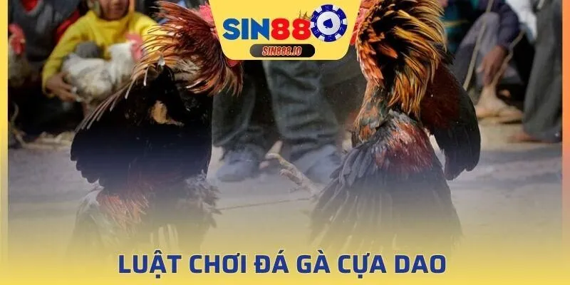 Hội viên cần nắm rõ các quy tắc khi thi đấu quan trọng