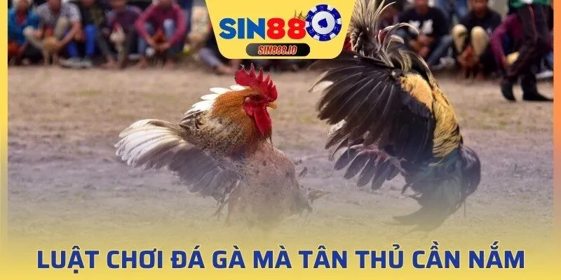 Luật bất thành văn mà tân thủ phải nằm lòng