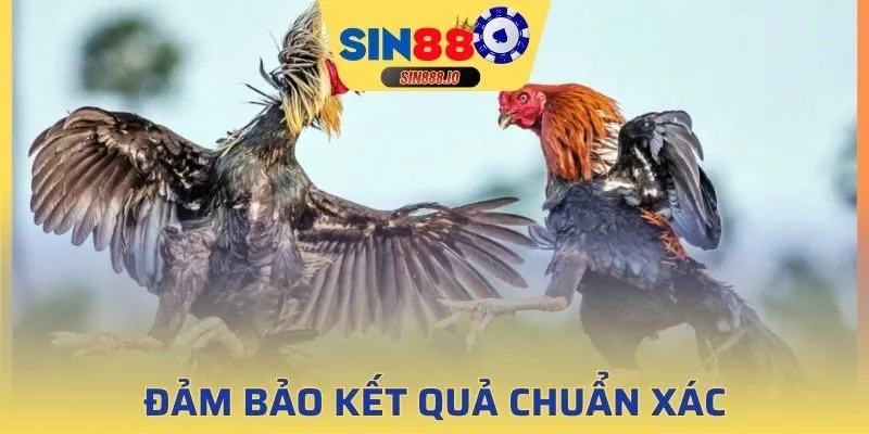 Quá trình đưa ra kết quả