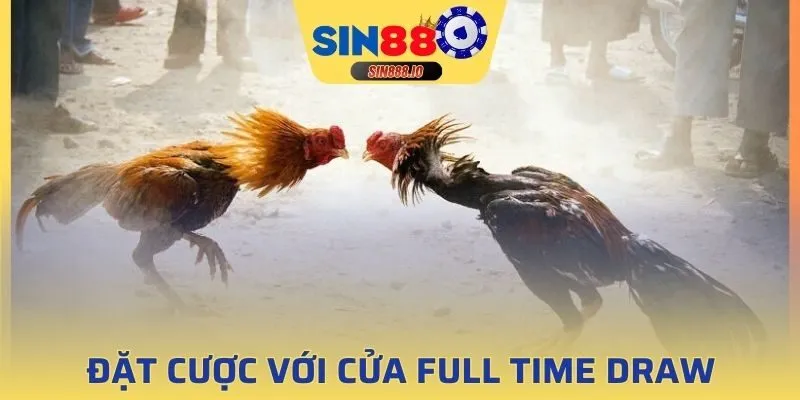 Tham gia đá gà cùng Full Time Draw