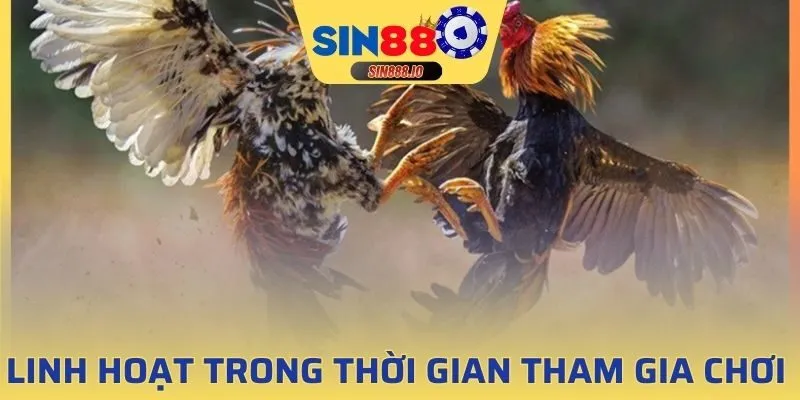 Thời gian tham gia linh hoạt theo nhu cầu người chơi